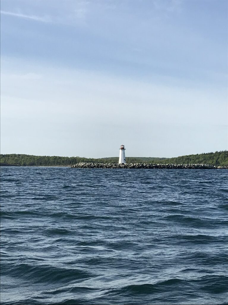 A lighthouse on the water with trees in the background